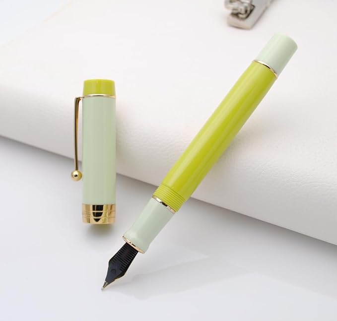 JINHAO 100 Fountain Pen with Ink Converter (Medium Nib 0.7mm, Green Lemon)