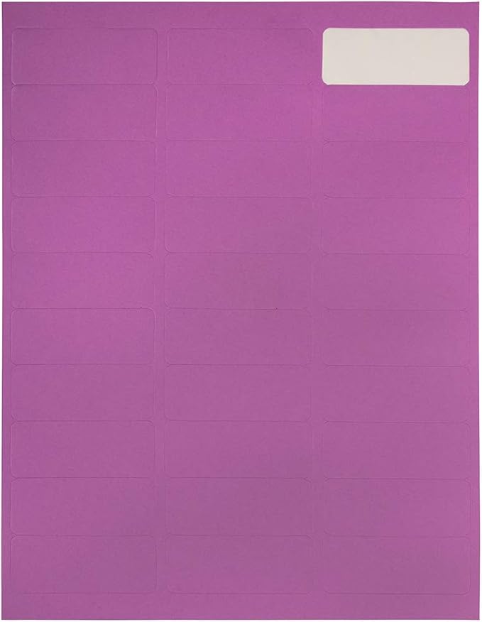 JAM PAPER Return Address Labels - Standard Mailing - 1 x 2 5/8 - Violet - 120 Shipping Labels/Pack