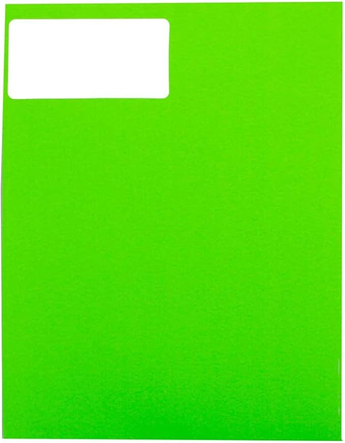 JAM PAPER Shipping Address Labels - Standard Mailing - 2 x 4 - Assorted Bright Neon Fluorescent - 6 Packs of 20 Labels - 120 Labels Total