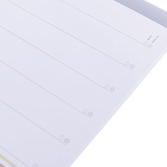 Graphique Weekly To Do Deskpad - Focus Design - 9.75" x 8", 80 Sheets, Themed Pages - Planner for College Students, Business Appointments, Great Gift