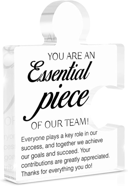 Team Appreciation Gifts Thank You Gift for Coworkers Colleagues Employees, Best Team Ever Gifts You Are an Essential Piece Acrylic Puzzle Piece Plaque Office Decor