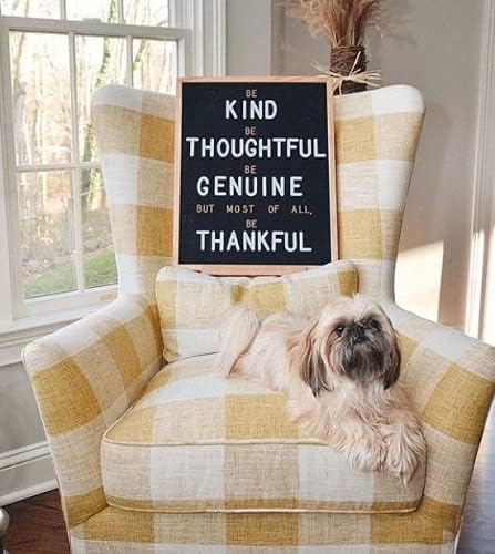 Felt Like Sharing Black Felt Letter Board 16x20 – Changeable Message Board with 348 White Letters, Warm Oak Frame, Wall Hanger & Pouch – Large Felt Board Sign for Quotes, Home or Holiday Decor