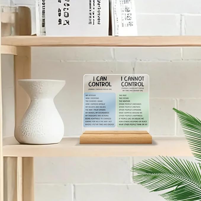 Mental Health Desk Decor Things I Can Control Acrylic Sign, Inspirational Gifts for Women Coworkers, Therapist Office Art Decor for Desk Gadgets Table Top Cubicle Living Room Bedroom Decorations 1