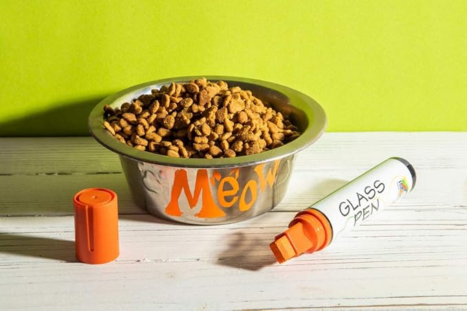 Glass Pen Window Marker: Liquid Chalk Pens for Glass, Whiteboard Markers with Washable Paint - Graduation, Car Windows, Mirror Pen, Storefront, Wedding, Parade, Party & Holiday (Orange, Jumbo Tip)