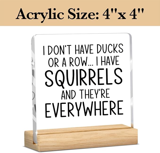 Funny Office Quote Decor, Funny Desk Signs, Office Gifts for Coworkers, Desk Decorations for Women, Cute Humor Offices Acrylic Desks Decor With Wooden