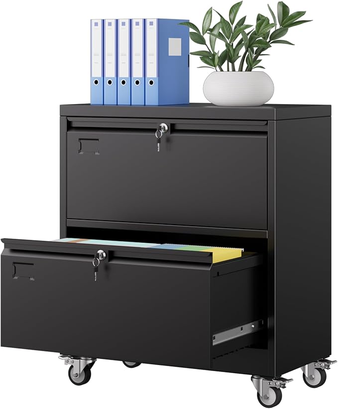 Aobabo Metal 2 Drawer Lateral File Mobile Cabinet with 2 Lock, Flie Cabinet with Wheels and Adjustable File Bars for Office,Home, for Letter/Legal Size, Black, Assembly Required