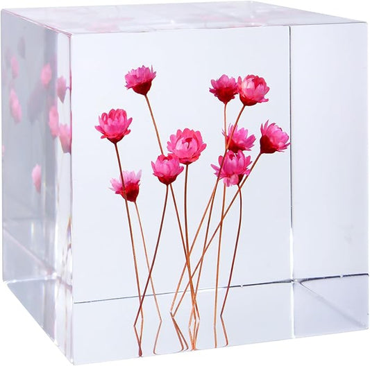 Acrylic Cube with Real Starflowers Inside 6cm Cube Colorful Aesthetic Shelf Decor Desk Decor Paperweight for Girlfriend