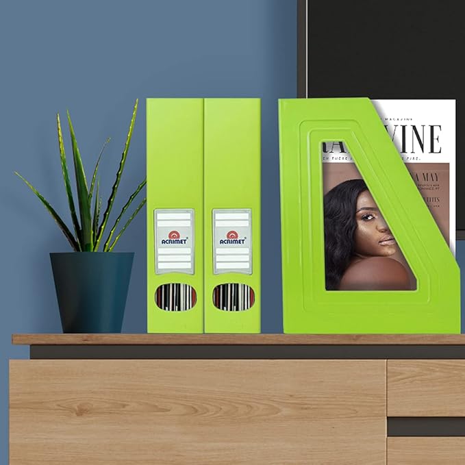 Acrimet Magazine File Holder, Durable Rack, Space-Saving Organizer (Plastic) (Green Citrus Color) (2 Pack)