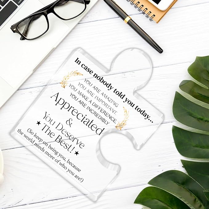 Employee Appreciation Gifts Thank You Gift Goodbye Leaving Gifts for Coworkers Colleagues Employees, in Case Nobody Told You Today You Are Appreciated Acrylic Puzzle Piece Plaque Office Decor