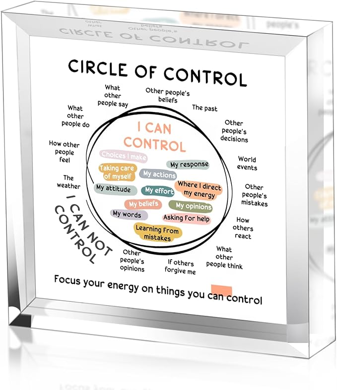 Mental Health Things I Can Control Decor - Therapy Office Acrylic Gifts - Psychology Art Decor for Treatment Room Office School Classroom - Art Decorations for Therapist Office Living Room Bedroom