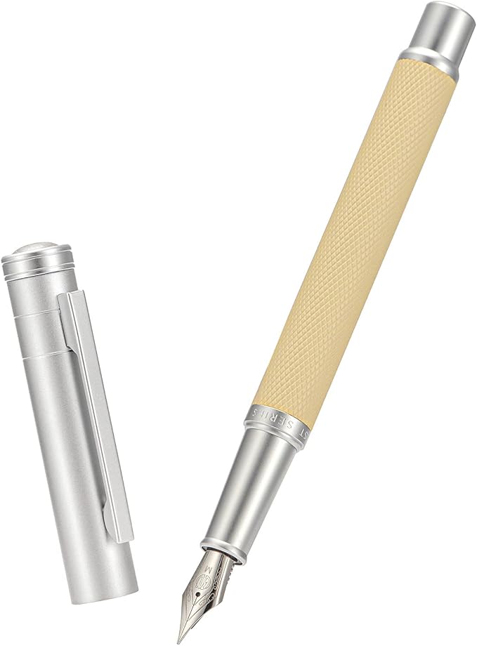 Hongdian Silver Birch Forest Aluminum Fountain Pen Medium Nib with Metal Box Writing Pen Set'1 Count (Pack of 1)