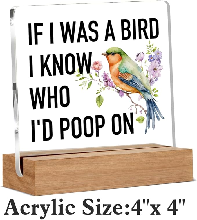 Funny Gifts for Bird Lovers Coworkers, Gag Office Gifts for Women Men, Bird Watching Gift Acrylic Plaque, Novelty Birds Desk Signs Decor 4 × 4 Inches