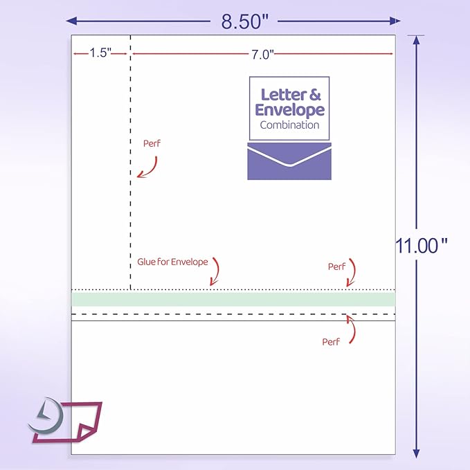 NextDayLabels Form and Envelope Combination (8-1/2 x 11 Inch, Pack of 250)