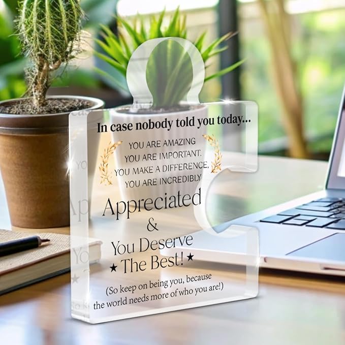 Employee Appreciation Gifts Thank You Gift Goodbye Leaving Gifts for Coworkers Colleagues Employees, in Case Nobody Told You Today You Are Appreciated Acrylic Puzzle Piece Plaque Office Decor