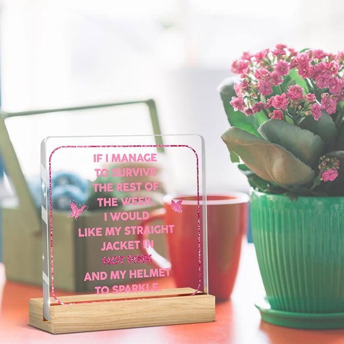 Pink Desk Accessories Funny Pink Office Decor Workplace Sign for Coworker Friend Acrylic Sign Plaque Table Decorations for Home Office Bedroom Living Room