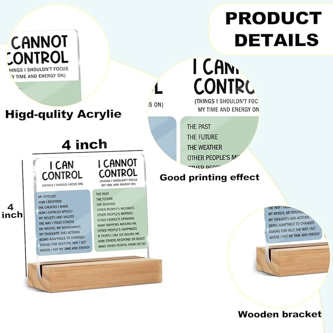 Mental Health Desk Decor Things I Can Control Acrylic Sign, Inspirational Gifts for Women Coworkers, Therapist Office Art Decor for Desk Gadgets Table Top Cubicle Living Room Bedroom Decorations 1