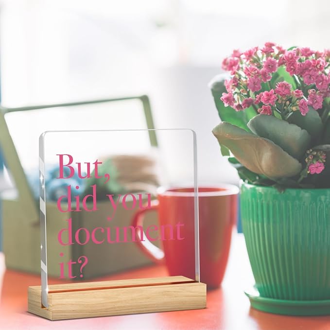 Pink Desk Decor, But Did You Document It, Funny Pink Office Gifts Workplace Sign for Coworker Friend Acrylic Sign Plaque Table Decorations for Home Bedroom Living Room Toilet Table