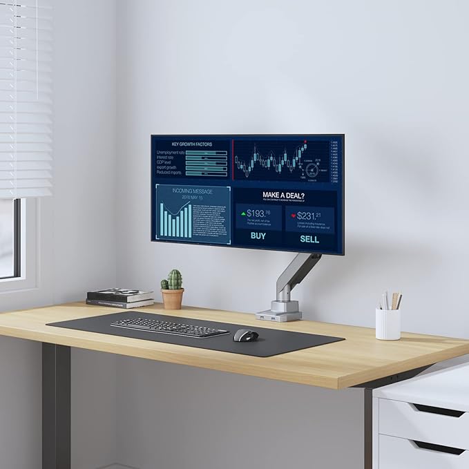 WALI Ultrawide Monitor Arm for 13 to 49 Inch Heavy Duty Curved Screens, Adjustable Gas Spring Single Monitor Desk Mount with 2 USB 3.0 Ports, Holds 33 lbs, 75x75/100x100 VESA, Silver (GSMU001)