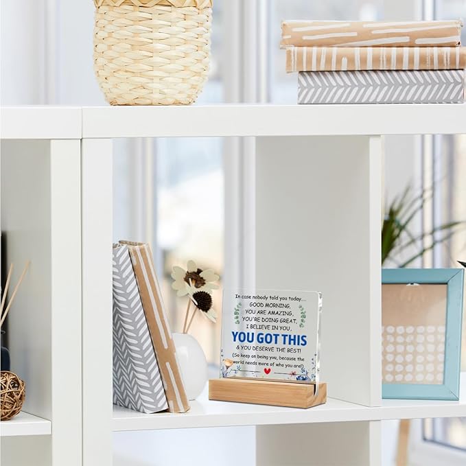 Inspirational Gifts Acrylic Sign with Wood Stand, Employee Appreciation Gifts Bedroom Office Living Room Desk Cubicle Table Shelf Decor, Encouragement Gifts for Women Coworker Friends Bestie