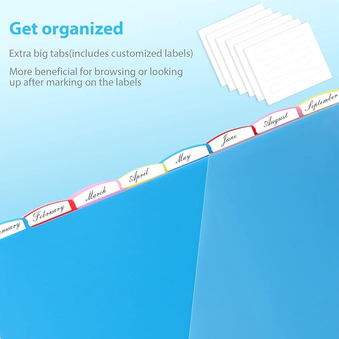 WOT I Plastic 8-tab Dividers with 2 Clear Pockets - 3 Sets, Binder Dividers for 3 Ring Binder, Bright Multicolor, Total 24 Tabs