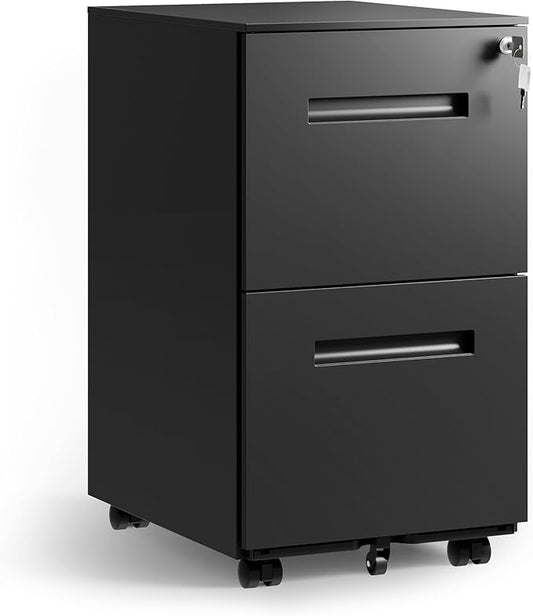 DEVAISE 2-Drawer Metal File Cabinet with Lock, Mobile Filing Cabinet Under Desk for Home Office, Fully Assembled Printer Stand fits F4/A4/Letter/Legal Size, Black, 20" D x 15" W x 27" H