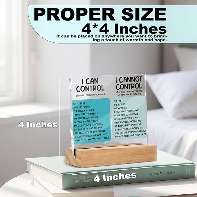 Mental Health Things I Can Control Decor Sign, Motivational Office Acrylic Sign With Wooden Stand, Thank You Gifts for Woman Coworker Nurse Friends Decorative Desk Accessories Table Shelf Decor-2