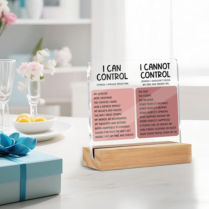 Things I Can't Control Office Decor Sign, Motivational Quotes Acrylic Sign With Wooden Stand, Thank You Gifts for Woman Coworker Nurse Friends Decorative Desk Accessories Table Shelf Signs Decor-2