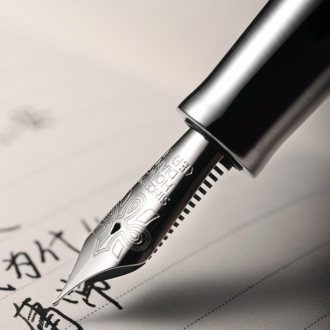 Hongdian D1 Piston Fountain Pen Fine Nib, Hollow Skeleton & Resin with Metal Case Set (Silver)