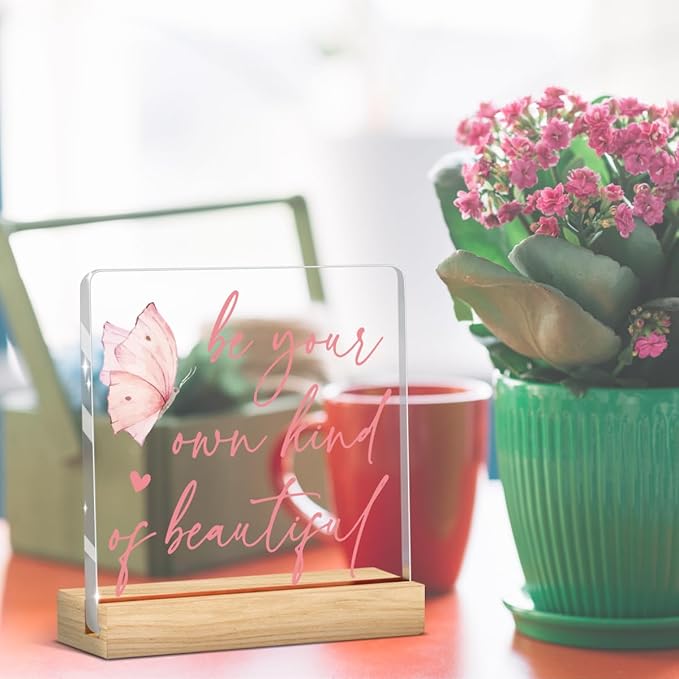 Coquette Room Gifts Pink Inspirational Awareness Positive Affirmation Sign Acrylic Sign Plaque Motivational Table Decorations for Home Living Room Bedroom