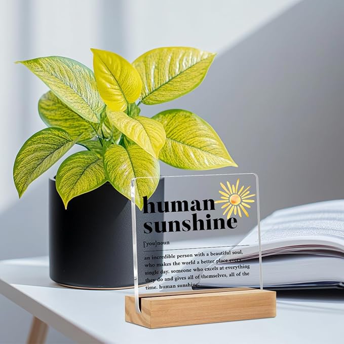 Christmas Thank You Gifts, Human Sunshine Definition Table Desk Decor, Appreciation Gifts for Teacher Coworkers Nurse Women Men, Inspirational Acrylic Sign, Thank You Gifts, Acrylic Plaque with Stand, Office Home Bedroom Decor