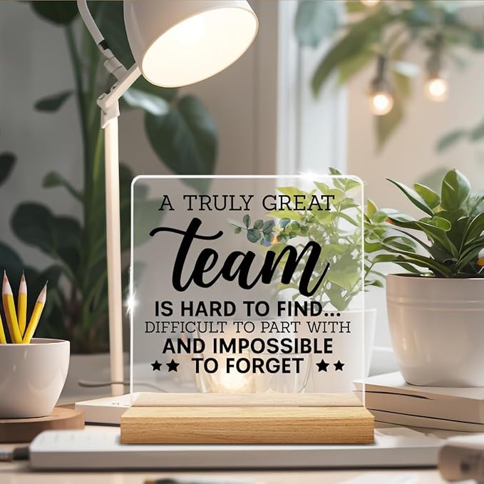 Thank You Team Gifts, Appreciation Gifts for Colleague Coworker Work Besties, Team Gifts for Leader Mentor Boss Coworker Employee, a Truly Great Team is Hard to Find Acrylic Desk Sign Decor