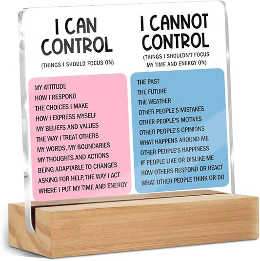 Mental Health Desk Decor Things I Can Control Acrylic Sign, Inspirational Gifts for Women Coworkers, Therapist Office Art Decor for Desk Gadgets Table Top Cubicle Living Room Bedroom Decorations 2