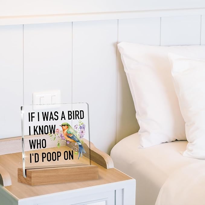 Funny Gifts for Bird Lovers Coworkers, Gag Office Gifts for Women Men, Bird Watching Gift Acrylic Plaque, Novelty Birds Desk Signs Decor 4 × 4 Inches