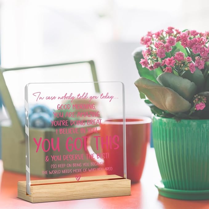 Pink Office Decor Pink, Inspirational Awareness Positive Affirmation Sign Acrylic Sign Plaque Motivational Table Decorations for Home Office Living Room Bedroom