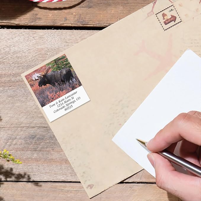 Moose Square Return Address Labels - Set of 144 1-1/8" x 2-1/4" Self-Adhesive, Flat-Sheet Labels