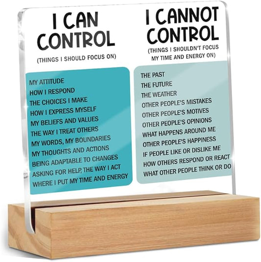Mental Health Things I Can Control Decor Sign, Motivational Office Acrylic Sign With Wooden Stand, Thank You Gifts for Woman Coworker Nurse Friends Decorative Desk Accessories Table Shelf Decor-2