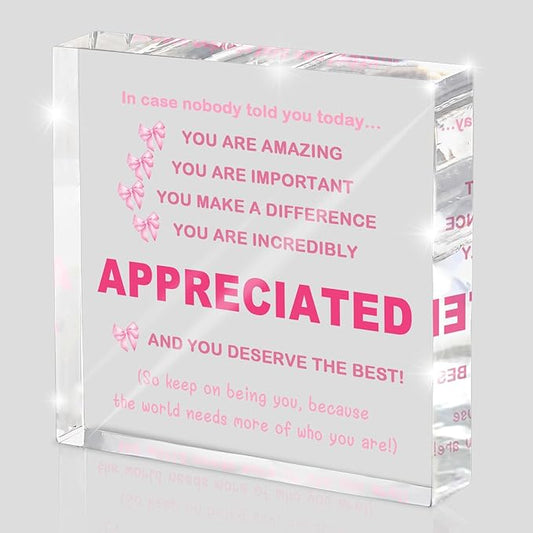 Inspirational Gifts Ideas for Women, Motivational Acrylic Keepsake Home Office Desk Decor, Appreciation for Coworkers, Thank You Gifts for Women and Men Administrative Professionals