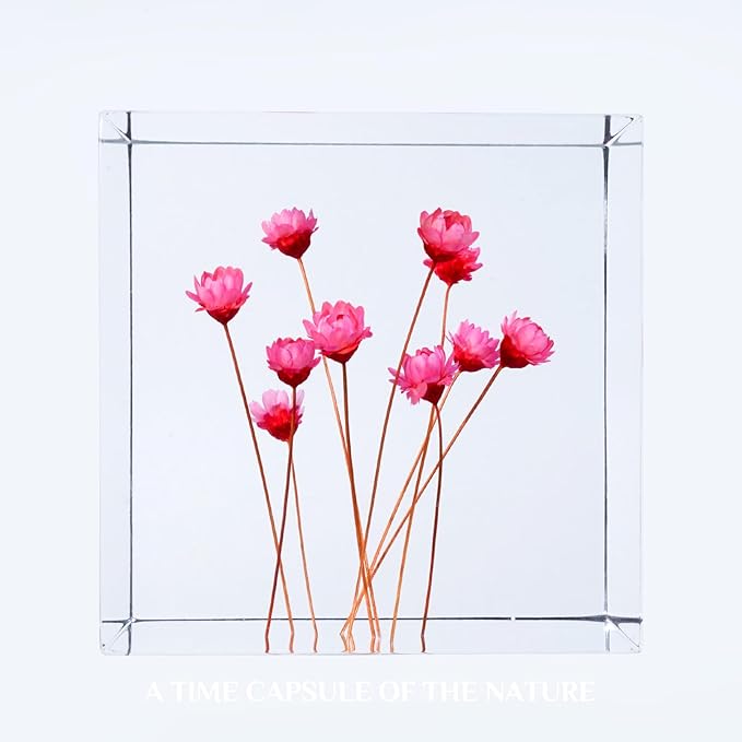 Acrylic Cube with Real Starflowers Inside 6cm Cube Colorful Aesthetic Shelf Decor Desk Decor Paperweight for Girlfriend