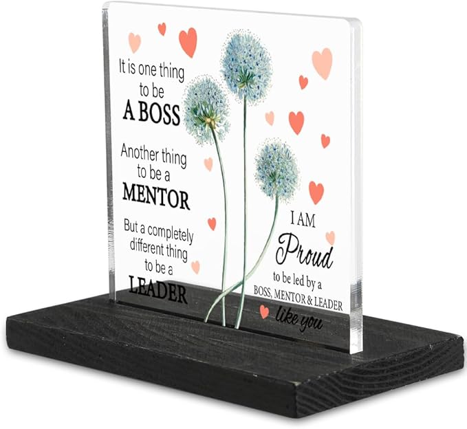 Thank You Appreciation Gifts for Boss, Boss gifts for Women Funny, It is One Thing to Be A Boss Sign, Going Away Gifts Retirement Gifts for Boss, Best Boss gifts for Women Decor Signs-DX342