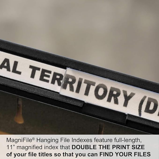 Ultimate Office MagniFile Insertable Hanging File Folder Tabs. Indexes That Double The Size of Your File Titles to Find Files Fast! (Set of 20), Black