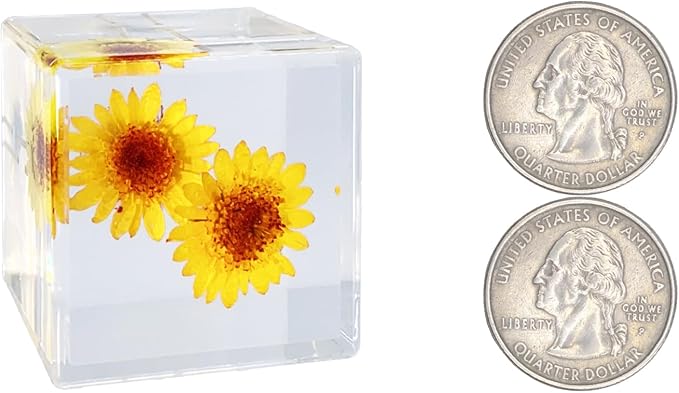 Real Flower Desk Accessory Mini Resin Cube – Flower in Resin with 3D Preserved Yellow Chrysanthemum Daisy, Desk Decor for Women, Small 1.58'' (2.9 oz), Lightweight Paperweight Option