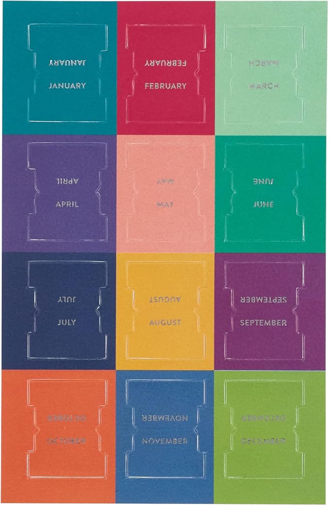 Erin Condren Vegan Leather Monthly Adhesive Tabs, Functional Planner Tabs for Organization, Sticky Index Page Markers, Journal and Notebook Accessories, Colorful + Platinum