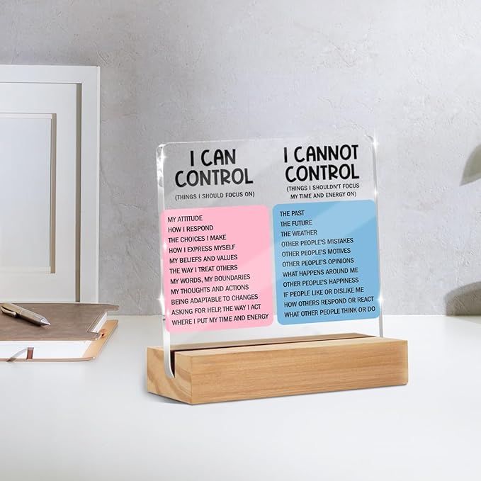Mental Health Desk Decor Things I Can Control Acrylic Sign, Inspirational Gifts for Women Coworkers, Therapist Office Art Decor for Desk Gadgets Table Top Cubicle Living Room Bedroom Decorations 2