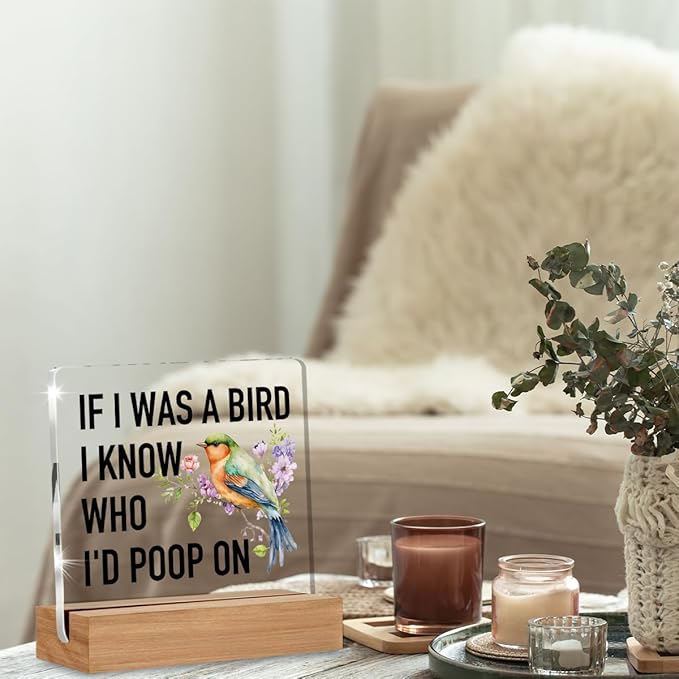 Funny Gifts for Bird Lovers Coworkers, Gag Office Gifts for Women Men, Bird Watching Gift Acrylic Plaque, Novelty Birds Desk Signs Decor 4 × 4 Inches