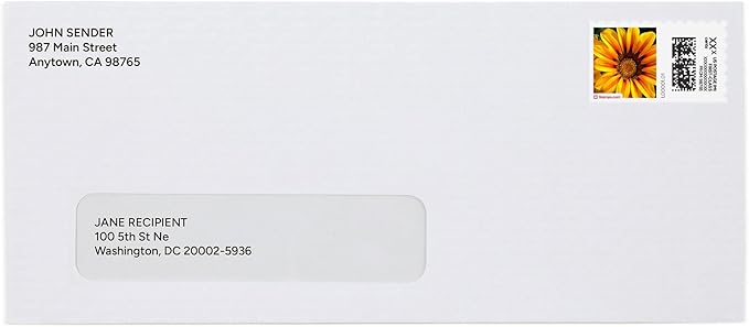 Treasure Flowers NetStamps 120-Pack (5 Sheets) Printable Postage Labels (Stamps.com Subscription Required) - Print Approved Postage - Inkjet & Laser Printers - Business, Personal, Home