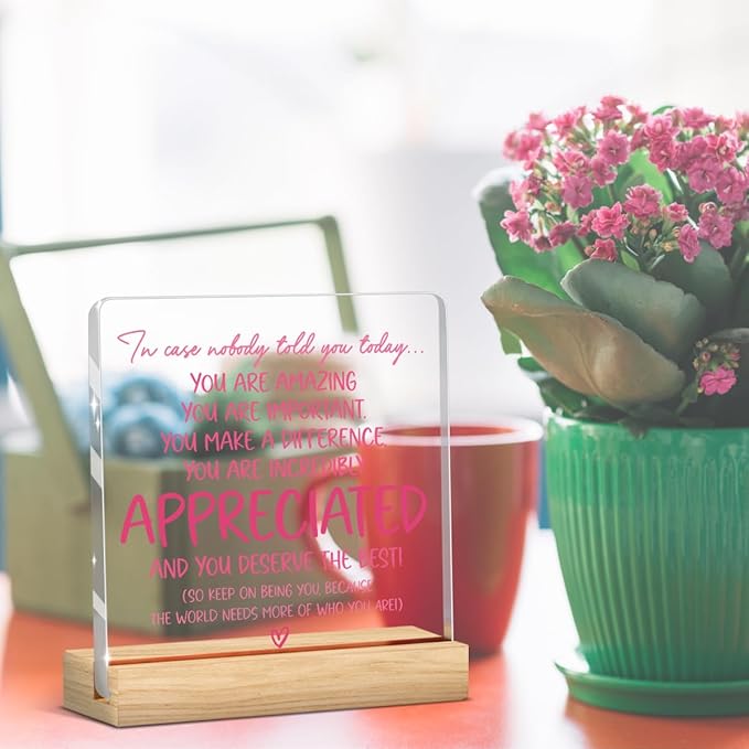 Preppy Coquette Gifts Inspirational Positive Affirmation Motivational Thank You Appreciation Sign Acrylic Sign Plaque Table Decorations for Home Office