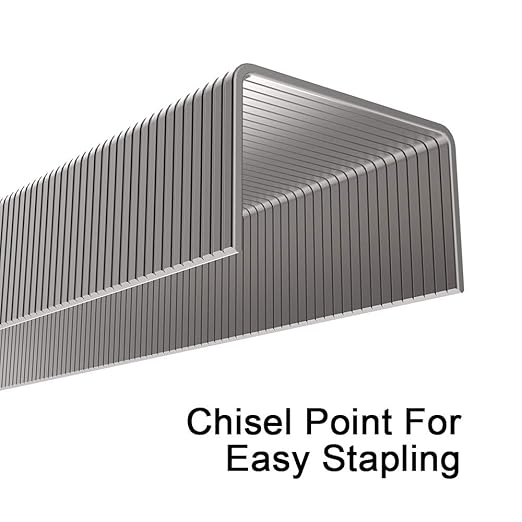 Rayson Heavy Duty Staples, 5/16" Leg Length, 1/2" Width, 2000 Staples (40 Sheets)