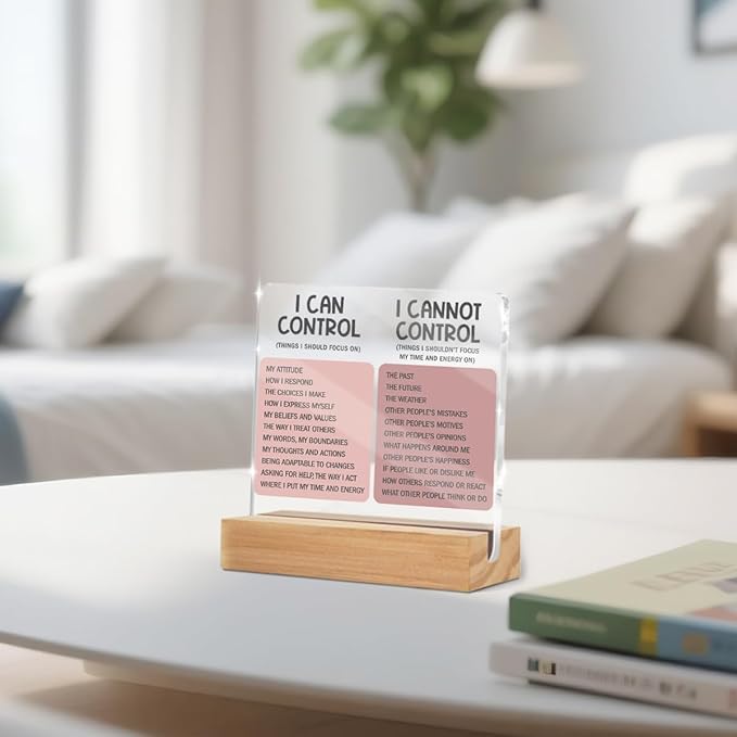 Things I Can't Control Office Decor Sign, Motivational Quotes Acrylic Sign With Wooden Stand, Thank You Gifts for Woman Coworker Nurse Friends Decorative Desk Accessories Table Shelf Signs Decor-2