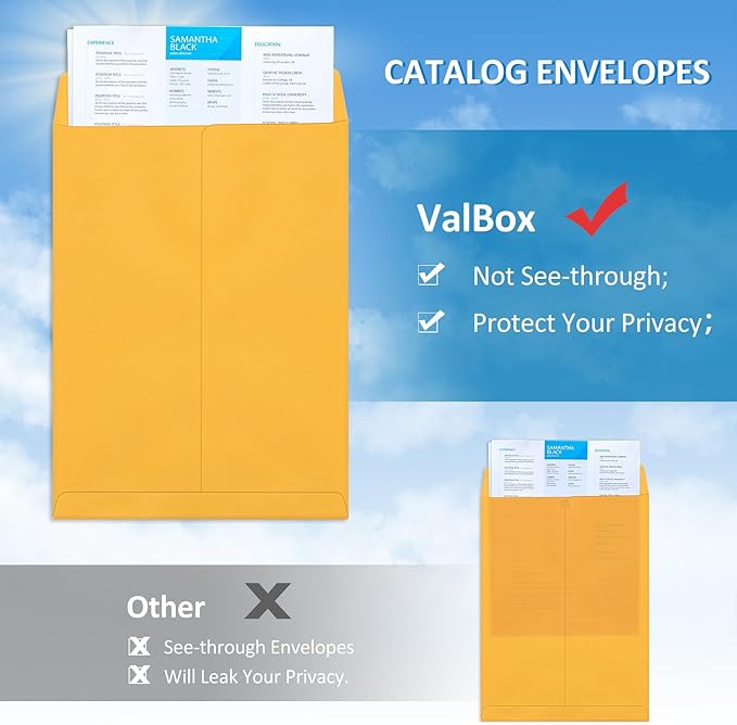 ValBox 6x9 Self Seal Catalog Security Envelopes 250 Count Small Brown Kraft Envelopes for Mailing, Storage and Organizing