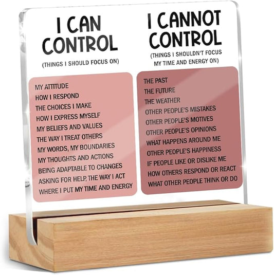 Things I Can't Control Office Decor Sign, Motivational Quotes Acrylic Sign With Wooden Stand, Thank You Gifts for Woman Coworker Nurse Friends Decorative Desk Accessories Table Shelf Signs Decor-2